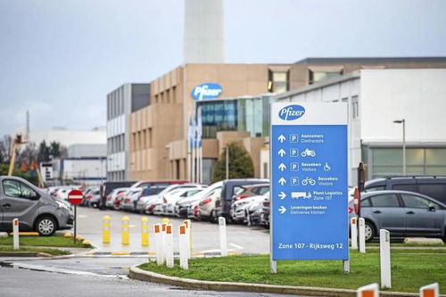 德国实现本土疫苗产能突破 生物新技术公司马尔堡工厂正式启动