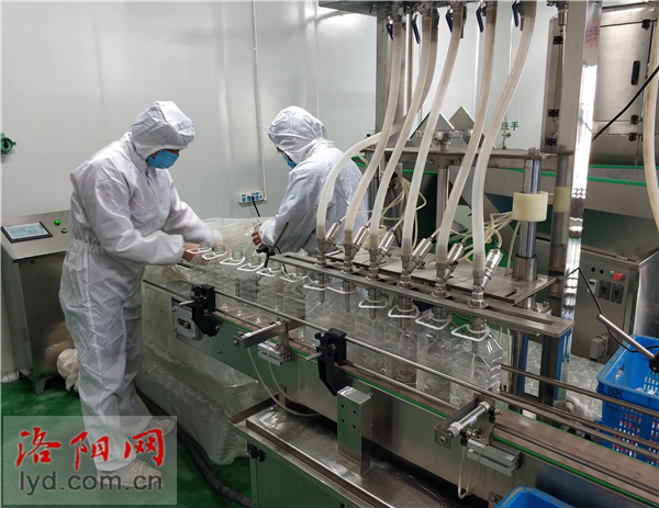 洛阳生物技术企业昼夜奋战扩产能 全力保障防疫物资供应