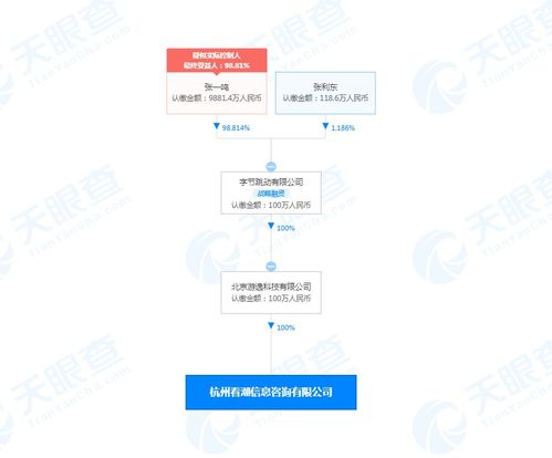 商务信息咨询 企业决策的智慧引擎