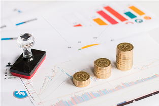 果洛财税服务公司 专业咨询、信息推荐与云端供应一站式解决方案